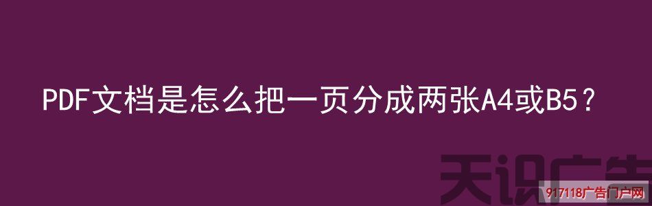PDF文档是怎么把一页分成两张A4或B5？(图1)