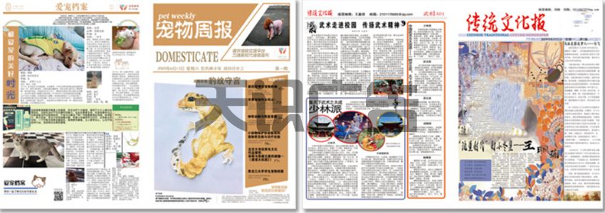 报纸广告怎么收费呢？