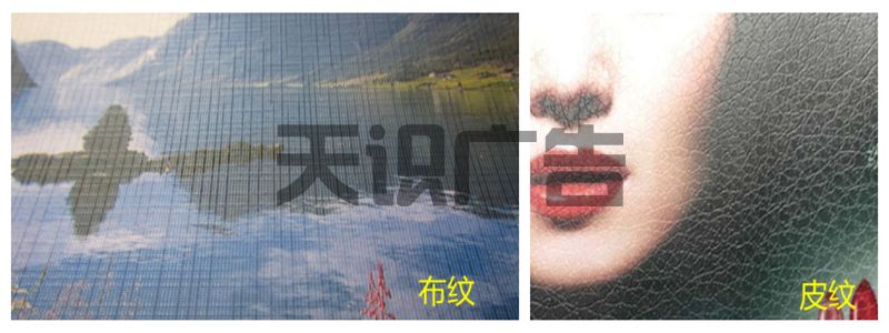 皮纹膜和布纹膜区别(图1)