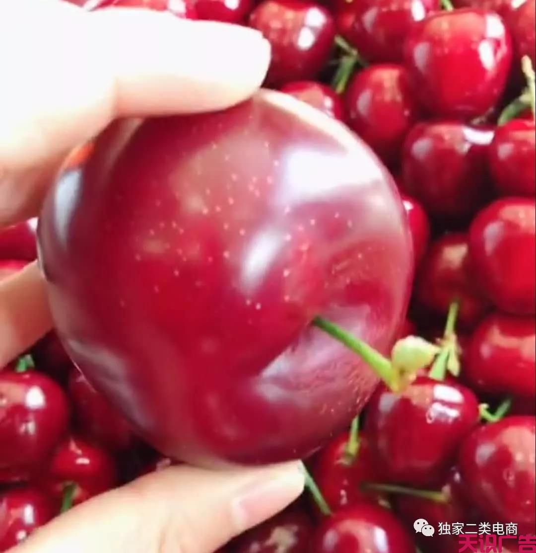 怎么打造鲁班货到付款二类电商爆款短视频？(图4)