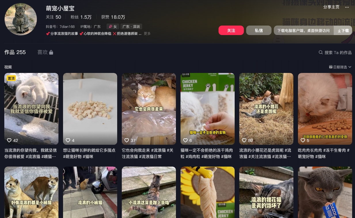 萌宠小屋宝抖音(图1)