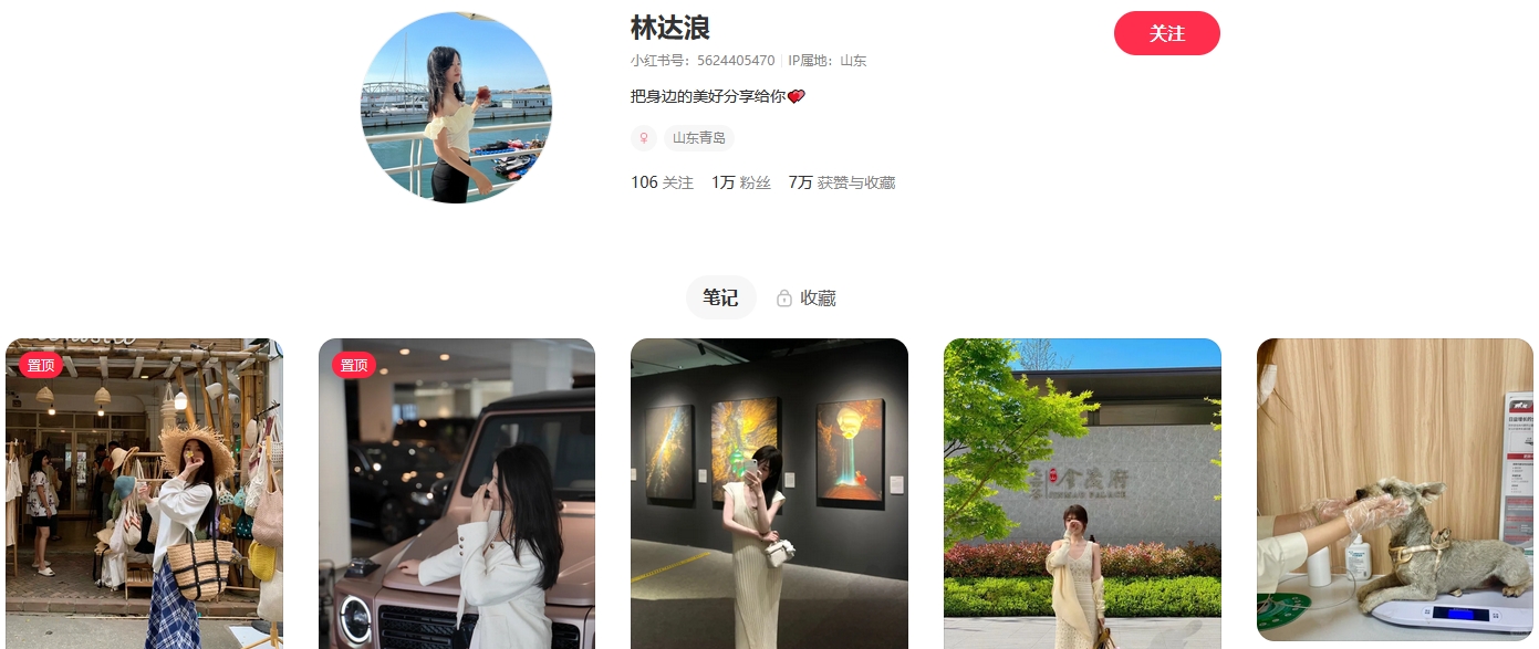 林达浪小红书(图1)