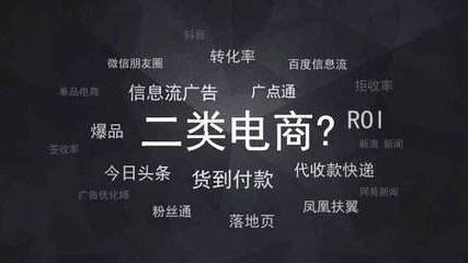 解析二类电商的“难”和“利”(图1)