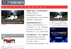 沪城新闻网软文发布营销新闻媒