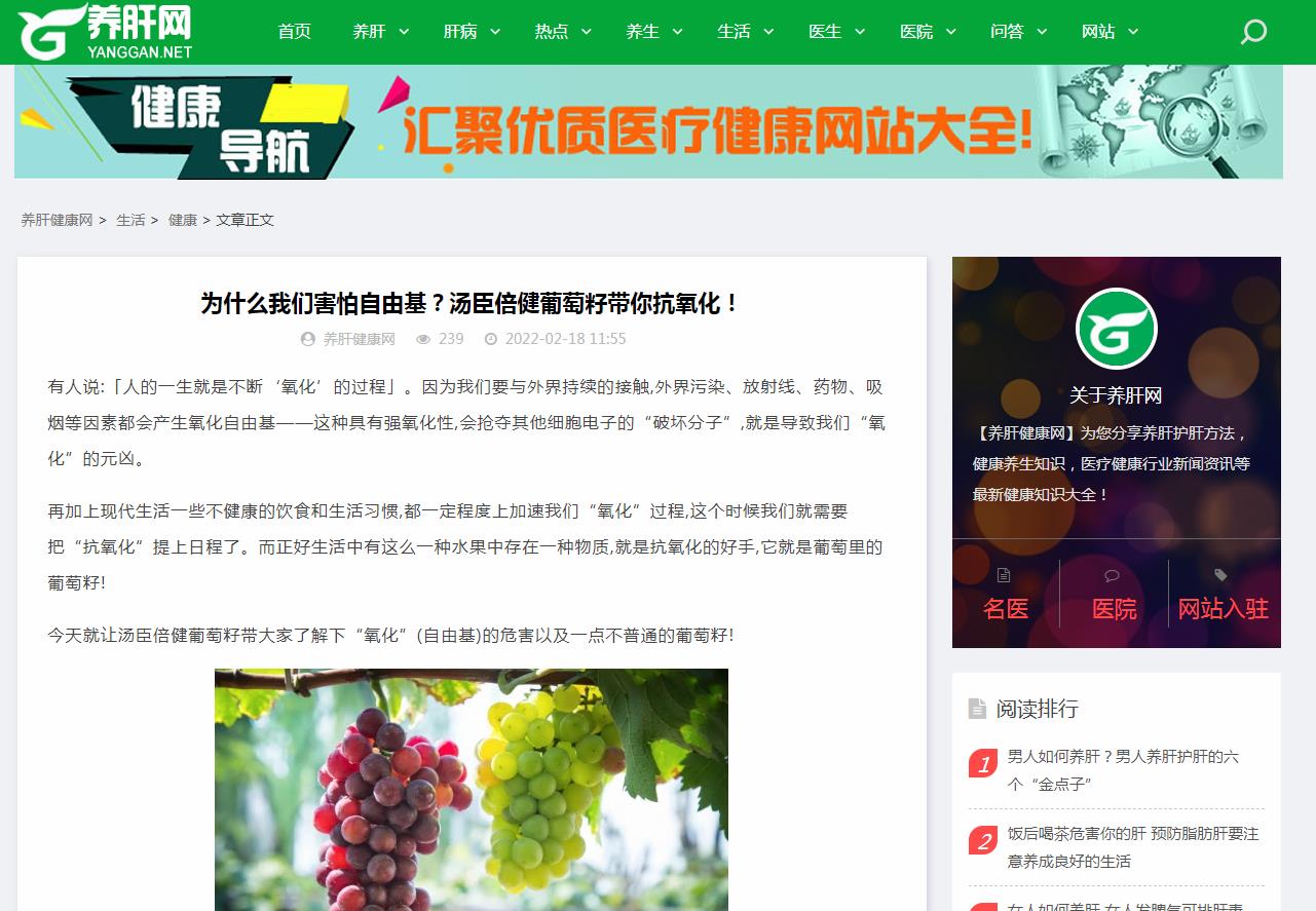 养肝网-新闻稿软文发布多少钱(图1) 养肝网-新闻稿软文发布多少钱(图1)