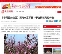 旅商新闻首发（新闻稿软文发布）