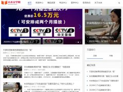 未来文学网（新闻稿软文发布）